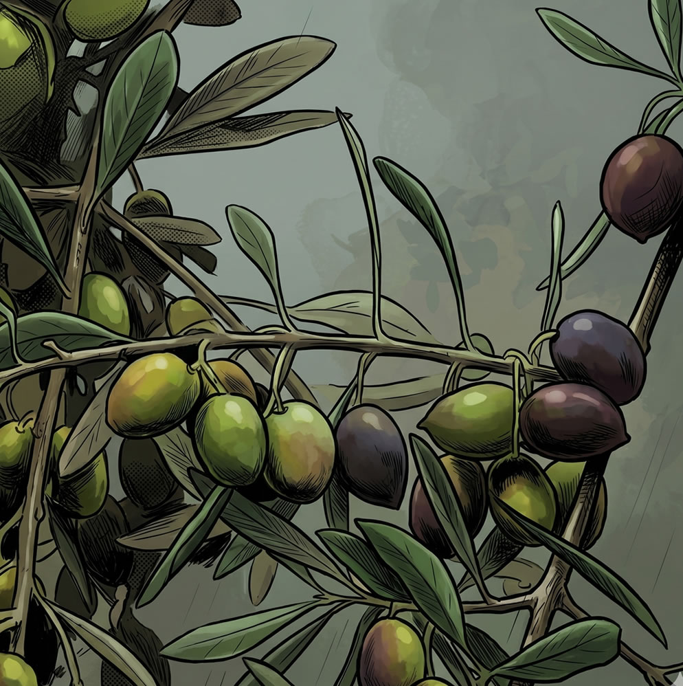 olives